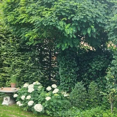 Gemutliche Mit Sauna Appartement Neumarkt in der Oberpfalz